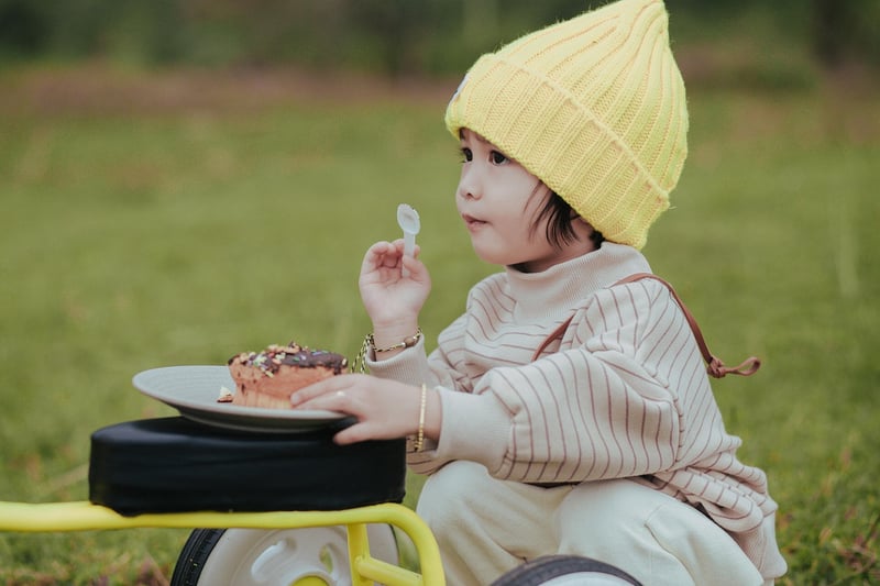 Picnic Spots